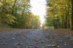 DSC08389e